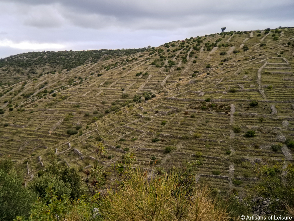 Private Hvar Tour