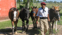 Argentina in Photos