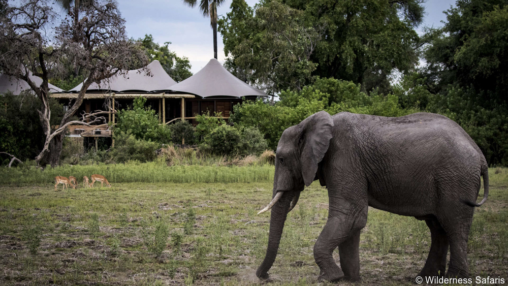 Private Botswana safari