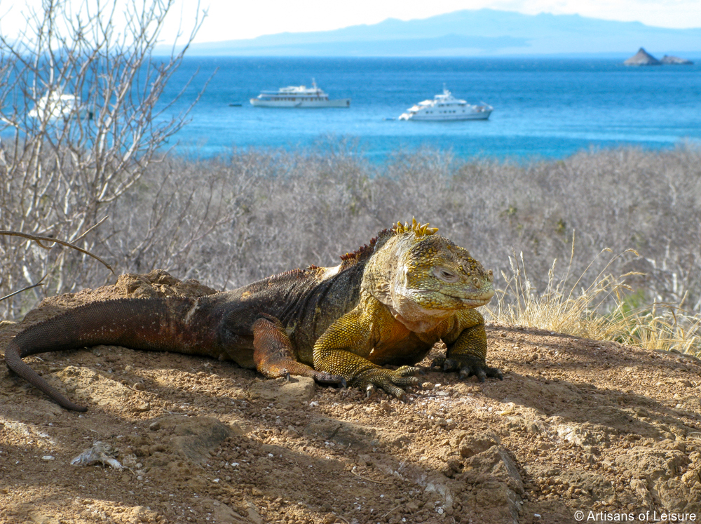 luxury Galapagos Islands cruises