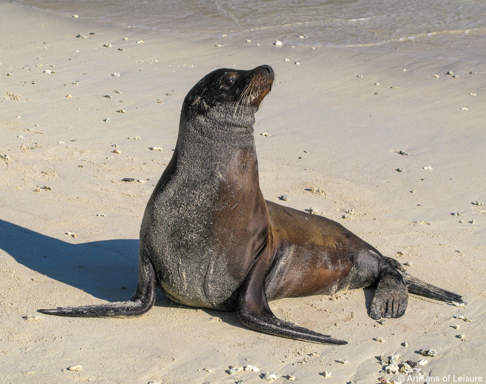 luxury Galapagos tours