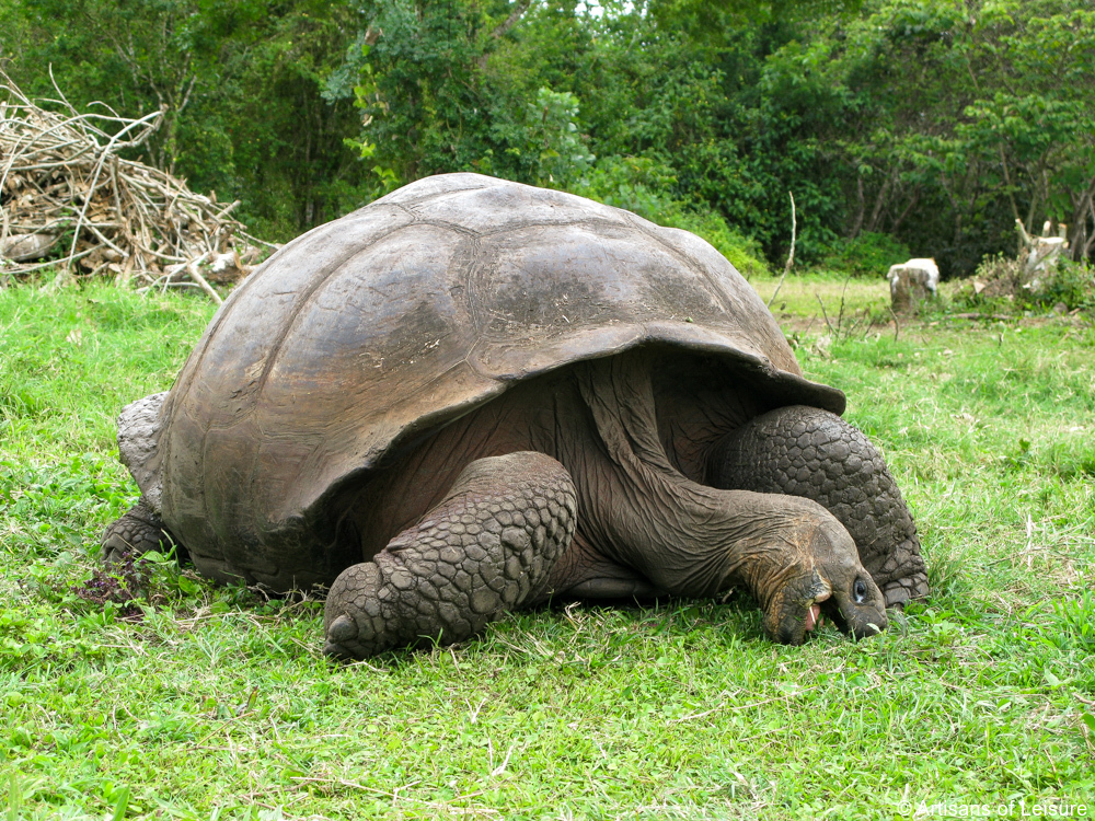 luxury Galapagos tours