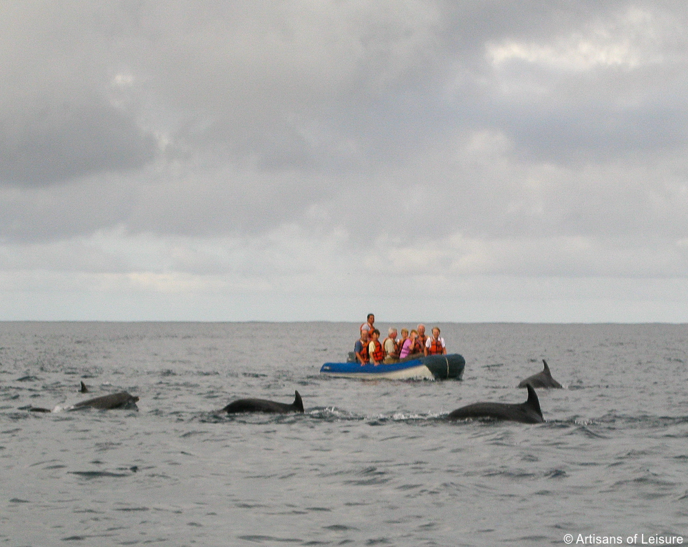 luxury Galapagos cruises tours