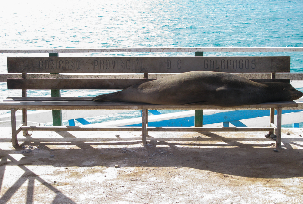 luxury Galapagos cruises tours