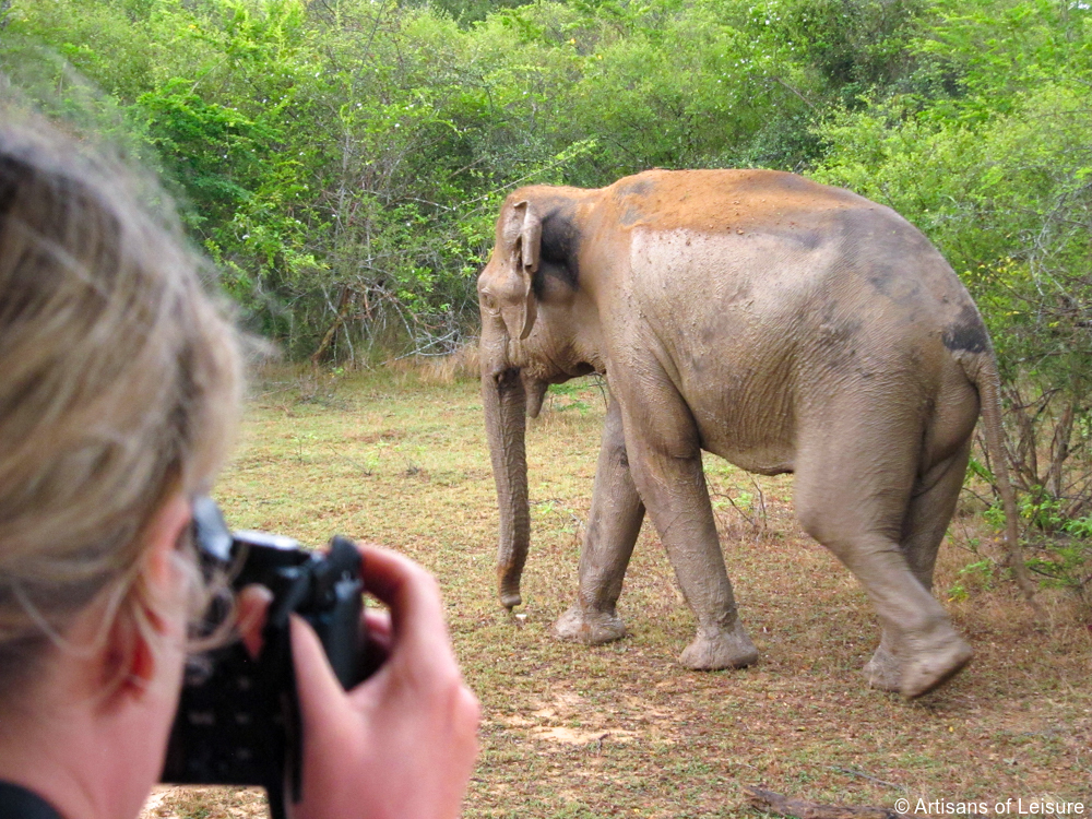 luxury Sri Lanka tours