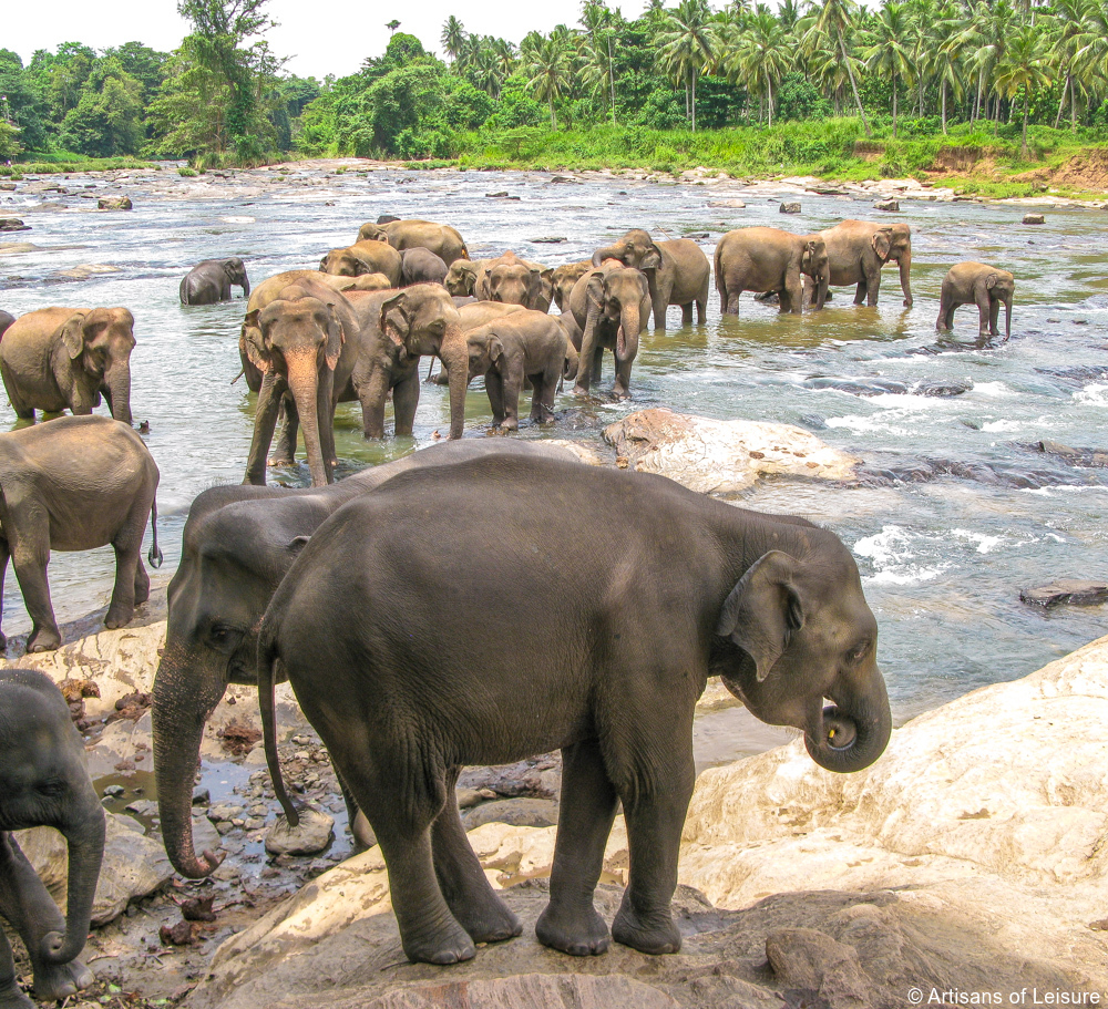 luxury Sri Lanka tours