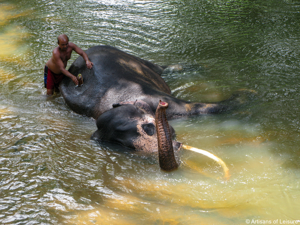 luxury Sri Lanka tours