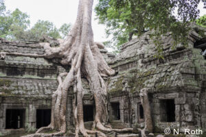 private Cambodia tours