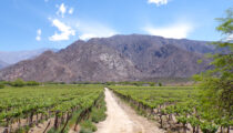 Best of Salta & Northwest Argentina