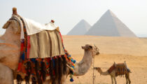 Family Tour of Egypt