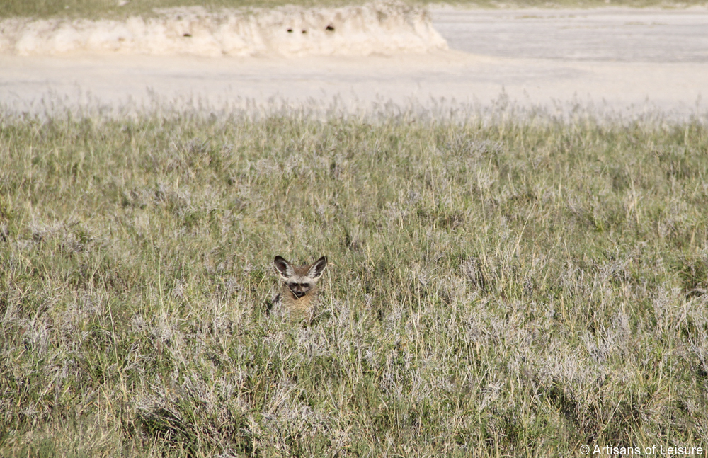 private Botswana safaris Kalahari Desert