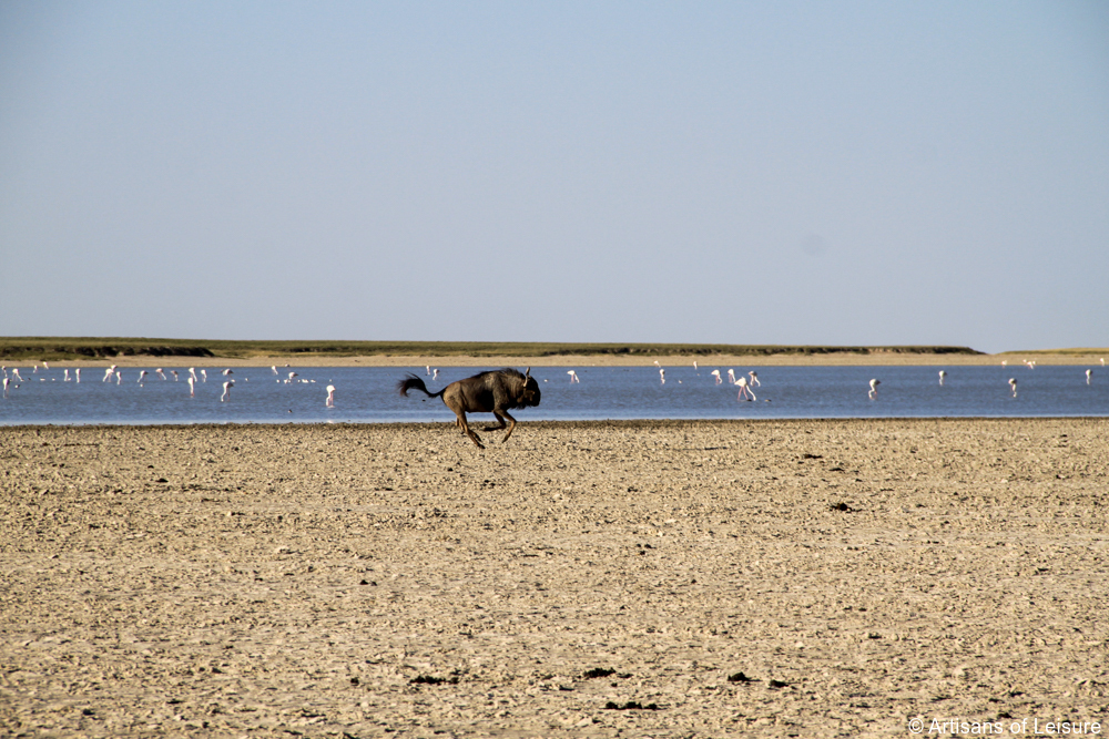 private Botswana safaris Kalahari Desert