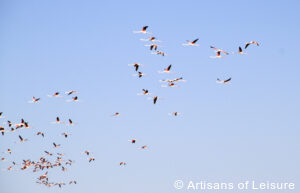 private Botswana safaris Kalahari Desert