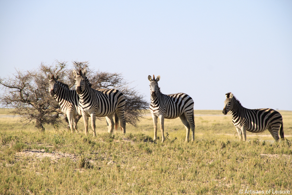 private Botswana safaris Kalahari Desert