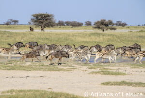private Botswana safaris Kalahari Desert
