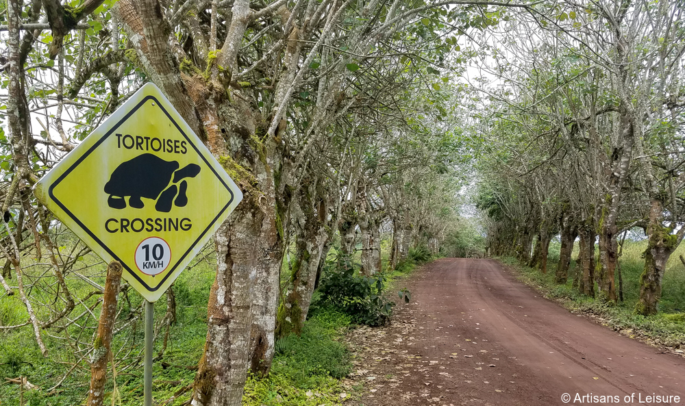 private Galapagos tours