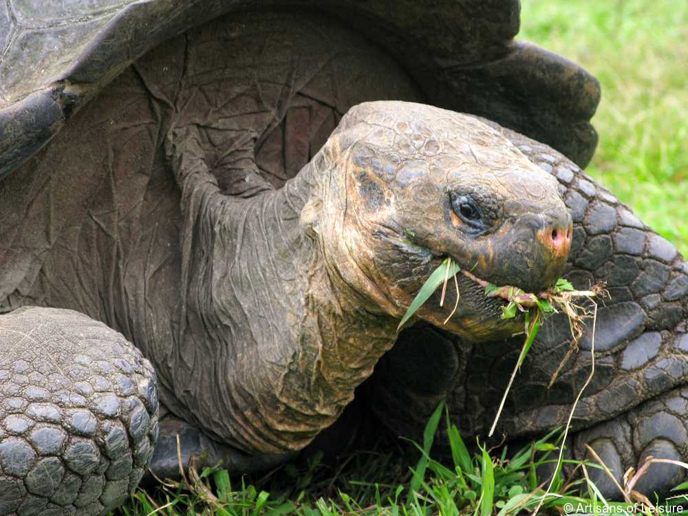 luxury Galapagos tours