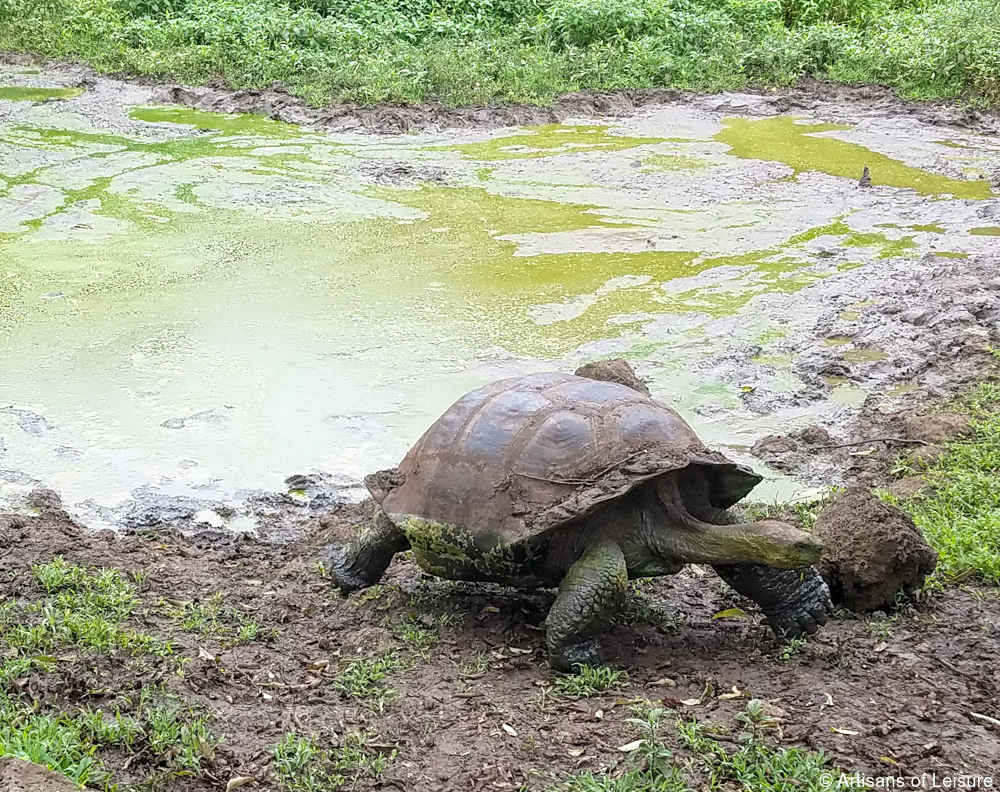 private Galapagos tours