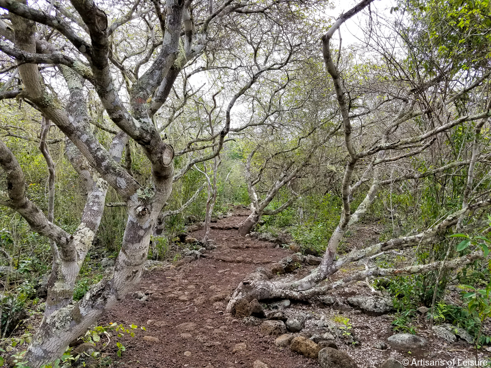 luxury Galapagos cruises