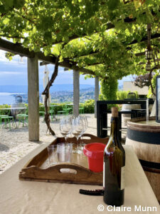 private Switzerland tours
