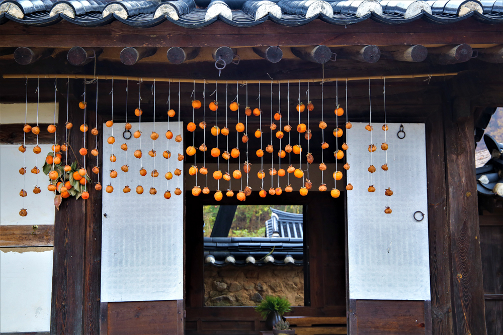 private South Korea tours - hanok