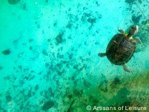 private Riviera Maya tours