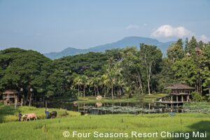 private Thailand tours