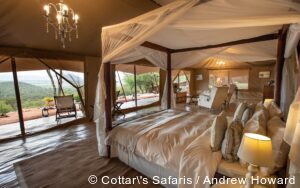 luxury safari tour