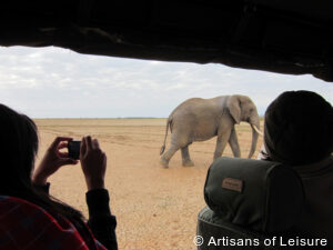 luxury safari tour