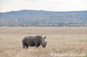 luxury safari tour