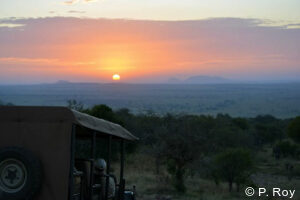 luxury safari tours