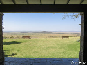 luxury safari tours