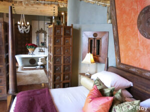 luxury safari tours