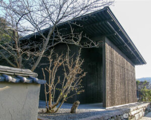 Naoshima private tours