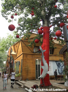 private tour of China