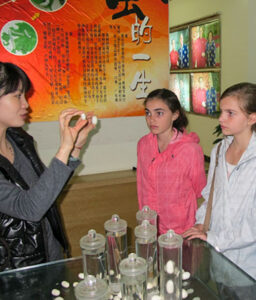 private tour of China