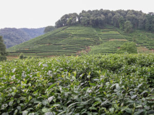 private China tour