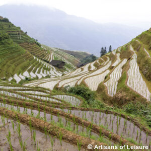 private tour of China