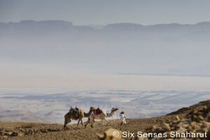 private Israel tours