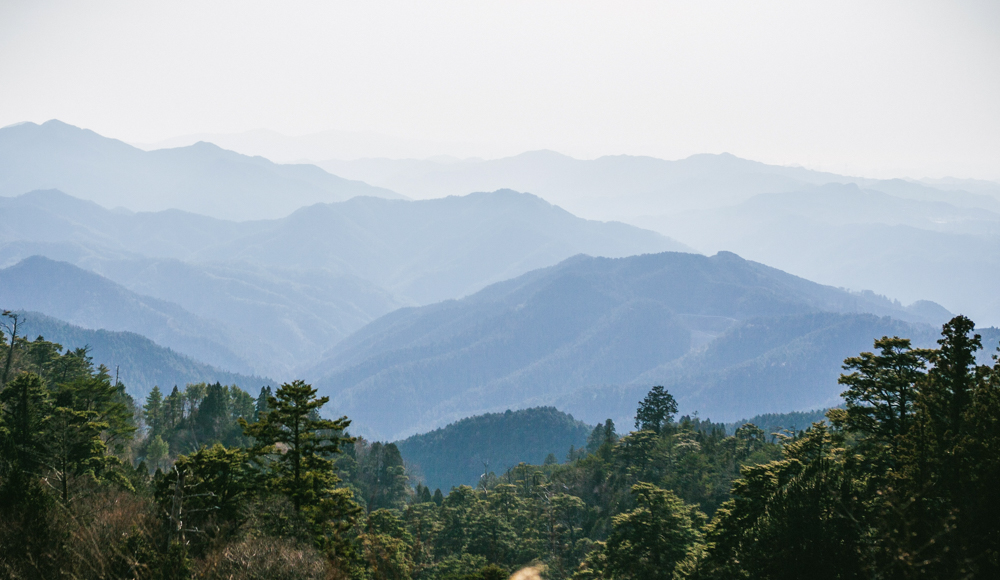 private Mount Koya tours