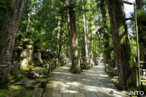 private Mount Koya tours
