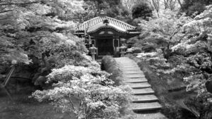 private Japan tour