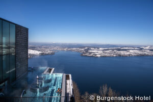 private Switzerland winter tour