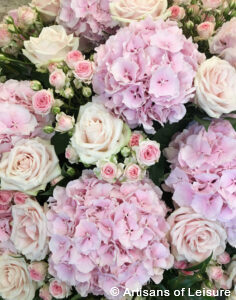 Grasse perfume tours
