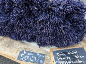 Provence lavender tours