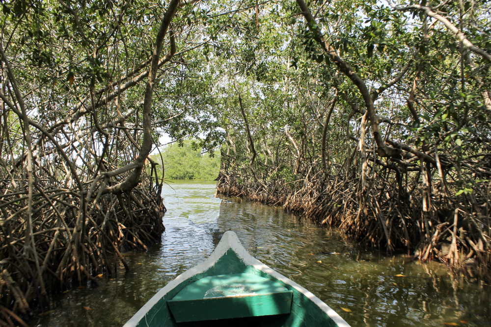 Isla Baru private Colombia tours