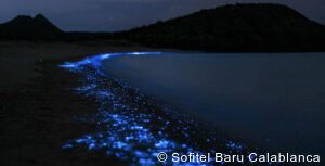 Isla Baru private Colombia tours