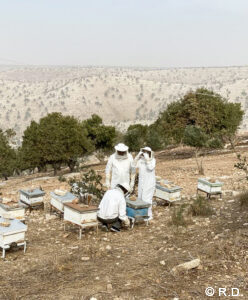 private Jordan tours