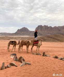 private Jordan tours