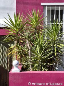 private Bo-Kaap tours